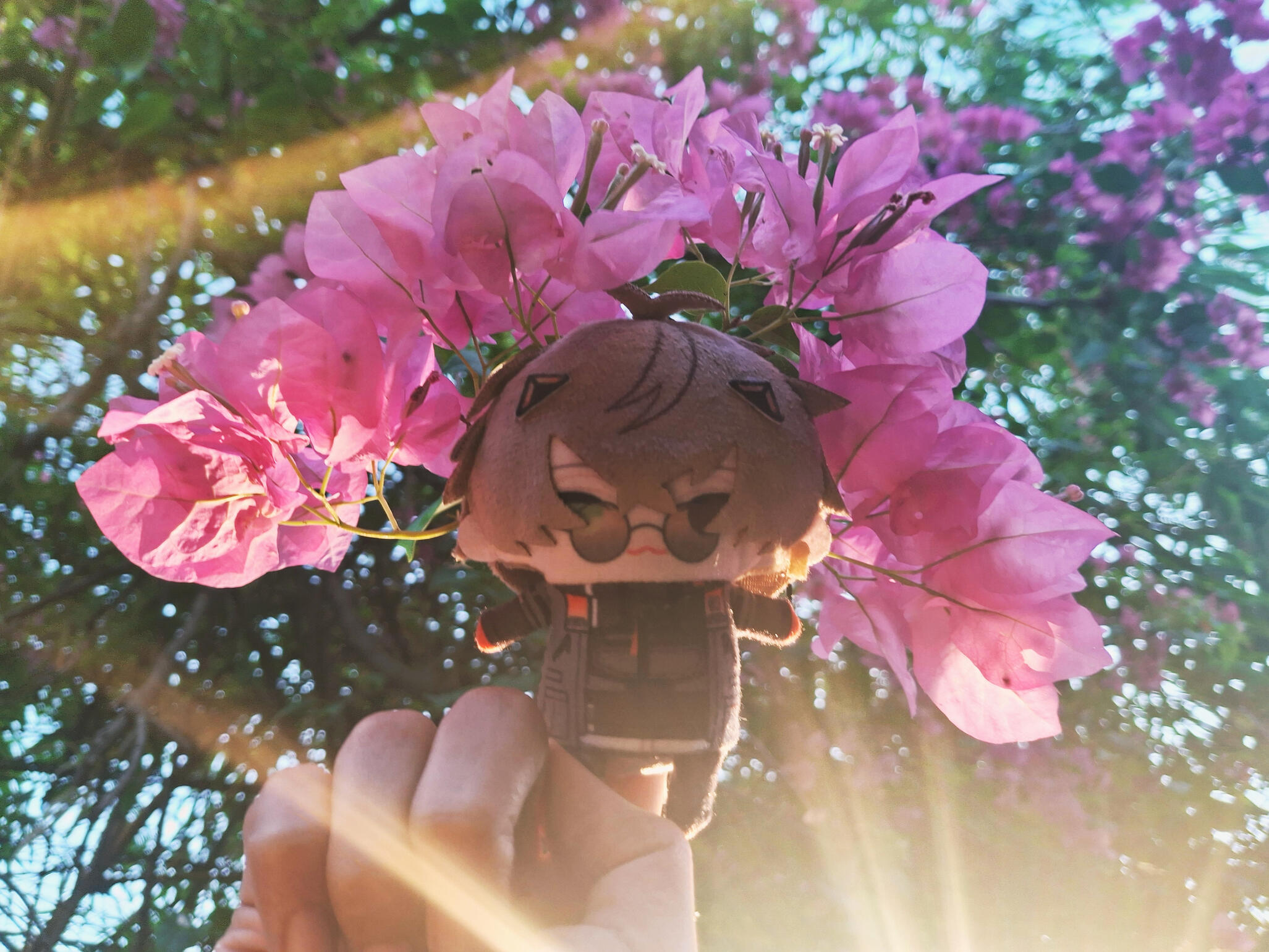 from hayaku14 from hayaku14